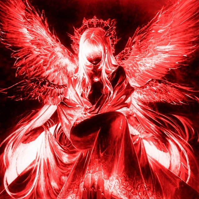 @V1NEZARO2